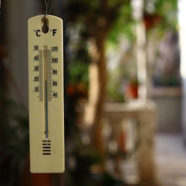 Tag temperaturen på din havejord